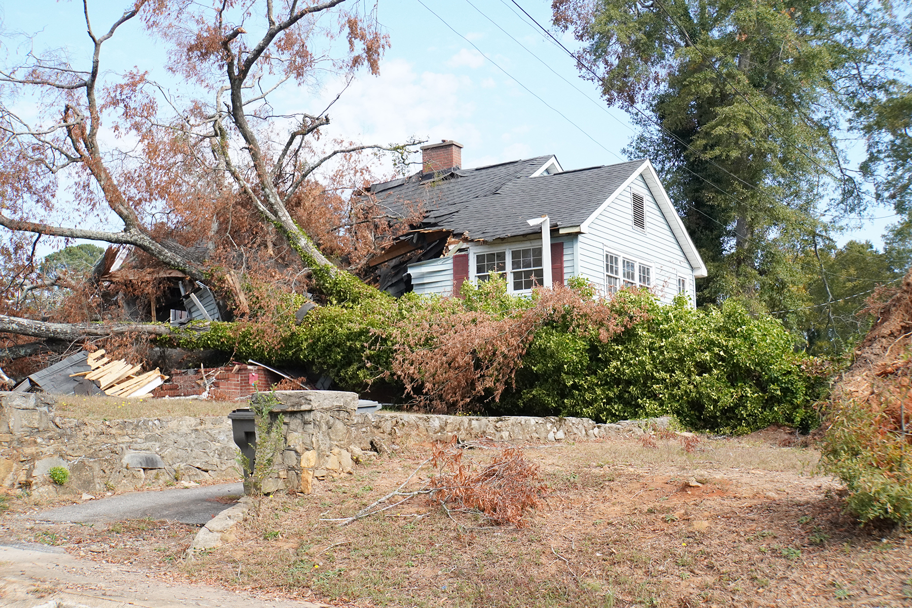 Tree fallen over home